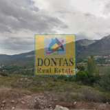  (For Sale) Land Plot || East Attica/Dionysos - 810 Sq.m, 250.000€ Dionysos 7783844 thumb2