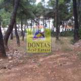  (For Sale) Land Plot || East Attica/Dionysos - 830 Sq.m, 250.000€ Dionysos 7783868 thumb0