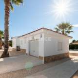  Villa with Private Swimming Pool and Garage in Rojales Alicante Alicante 8183919 thumb3