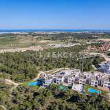  Key-Ready Flats with Great View in San Miguel de Salinas Alicante 8183920 thumb17