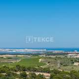  Key-Ready Flats with Great View in San Miguel de Salinas Alicante 8183920 thumb28