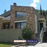  Villa for sale Eleftheroupoli, Amisiana, 405 m2 (code 3165) Amisiana 3183927 thumb1