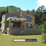  Villa for sale Eleftheroupoli, Amisiana, 405 m2 (code 3165) Amisiana 3183927 thumb6