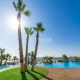  Stylish Apartments with Impressive Sea Views in Punta Prima Alicante 8084242 thumb23