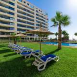  Apartamentos de diseño con impresionantes vistas al mar en Punta Prima Alicante 8084242 thumb9