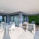  Stylish Apartments with Impressive Sea Views in Punta Prima Alicante 8084242 thumb73