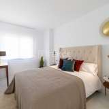  Stylish Apartments with Impressive Sea Views in Punta Prima Alicante 8084242 thumb48