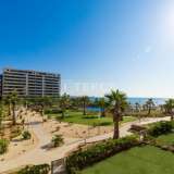  Stylish Apartments with Impressive Sea Views in Punta Prima Alicante 8084242 thumb14