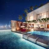  迪拜世界群岛设有私人海滩和泳池的豪华别墅 The World Islands 8084255 thumb1