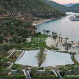  Detached Villas with Private Beach in Bodrum Muğla Bodrum 8084482 thumb55
