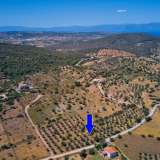  For Sale - (€ 0 / m2), Agricultural 16179 m2 Kranidi 8184585 thumb3