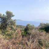  For Sale - (€ 0 / m2), Agricultural 6769 m2 Lefkada 8184588 thumb5