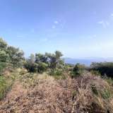  For Sale - (€ 0 / m2), Agricultural 6769 m2 Lefkada 8184588 thumb6