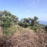  For Sale - (€ 0 / m2), Agricultural 6769 m2 Lefkada 8184588 thumb8