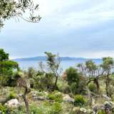  For Sale - (€ 0 / m2), Agricultural 6769 m2 Lefkada 8184588 thumb4