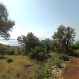  For Sale - (€ 0 / m2), Agricultural 6769 m2 Lefkada 8184588 thumb3