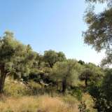  For Sale - (€ 0 / m2), Agricultural 6769 m2 Lefkada 8184588 thumb7