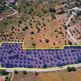  For Sale - (€ 0 / m2), Agricultural 8094 m2 Kranidi 8184595 thumb1