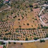  For Sale - (€ 0 / m2), Agricultural 8094 m2 Kranidi 8184595 thumb8