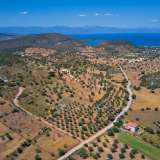  For Sale - (€ 0 / m2), Agricultural 8510 m2 Kranidi 8184596 thumb7