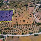  For Sale - (€ 0 / m2), Agricultural 8510 m2 Kranidi 8184596 thumb1