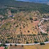  For Sale - (€ 0 / m2), Agricultural 8510 m2 Kranidi 8184596 thumb4