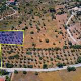  For Sale - (€ 0 / m2), Agricultural 4200 m2 Kranidi 8184599 thumb1
