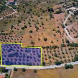  For Sale - (€ 0 / m2), Agricultural 4086 m2 Kranidi 8184602 thumb1