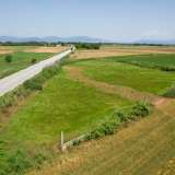  For Sale - (€ 0 / m2), Agricultural 6432 m2 Sitagroi 8184921 thumb1