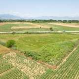  For Sale - (€ 0 / m2), Agricultural 6432 m2 Sitagroi 8184921 thumb7