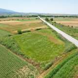  For Sale - (€ 0 / m2), Agricultural 6432 m2 Sitagroi 8184921 thumb6