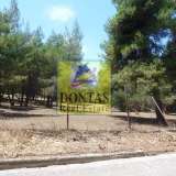  (For Sale) Land Plot || Athens North/Ekali - 1.020 Sq.m, 850.000€ Athens 7984930 thumb0