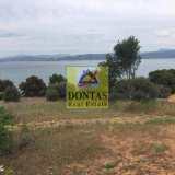  (For Sale) Land Plot || Voiotia/Oinofyta - 97.780 Sq.m, 6.150.000€ Oinofita 7984935 thumb0