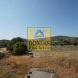  (For Sale) Land Plot || Achaia/Patra - 150.000 Sq.m, 6.700.000€ Patras 7984936 thumb5