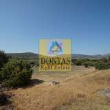  (For Sale) Land Plot || Achaia/Patra - 150.000 Sq.m, 6.700.000€ Patras 7984936 thumb0