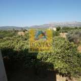  (For Sale) Land Plot || Achaia/Patra - 150.000 Sq.m, 6.700.000€ Patras 7984936 thumb3