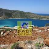  (For Sale) Land Plot || Chios/Mastichochoria - 15.000 Sq.m, 300.000€ Mastichochoria 7984942 thumb1