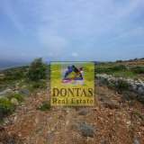  (For Sale) Land Plot || Chios/Mastichochoria - 15.000 Sq.m, 300.000€ Mastichochoria 7984942 thumb6