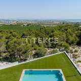  Detached Villas with Sea Views in Alicante San Miguel de Salinas Alicante 8184946 thumb4