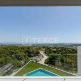  Detached Villas with Sea Views in Alicante San Miguel de Salinas Alicante 8184946 thumb7