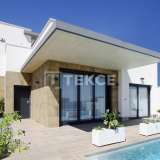  Detached Villas with Sea Views in Alicante San Miguel de Salinas Alicante 8184946 thumb0