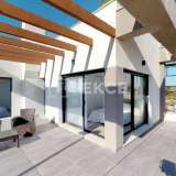  Cozy Villas with Pools and Parking in Los Montesinos Alicante 8184985 thumb2