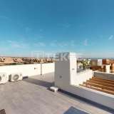  Cozy Villas with Pools and Parking in Los Montesinos Alicante 8184985 thumb5