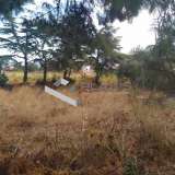  (For Sale) Land Plot || East Attica/Markopoulo Mesogaias - 565 Sq.m, 100.000€ Markopoulo Oropou 7785012 thumb0