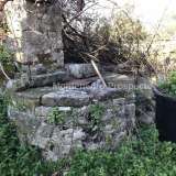  Очаровательная руина Томба, Бар с возможностью строительства Полье 4785192 thumb10