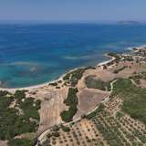  For Sale - (€ 0 / m2), Agricultural 12248 m2 Methoni 8085296 thumb0