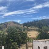   Мешильоейра-Гранде (Западный Алгарвe) 7785371 thumb5