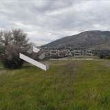  (For Sale) Land Plot || East Attica/Anavyssos - 18.700 Sq.m, 265.000€ Anavyssos 7685655 thumb1