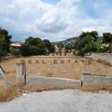  (For Sale) Land Plot || East Attica/Anavyssos - 2.500 Sq.m, 900.000€ Anavyssos 7085656 thumb3