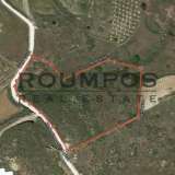  (For Sale) Land Agricultural Land  || Cyclades/Syros-Ano Syros - 9.918 Sq.m, 150.000€ Syros 7085680 thumb3